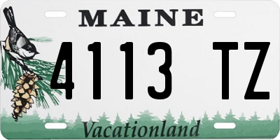 ME license plate 4113TZ