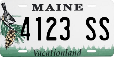 ME license plate 4123SS