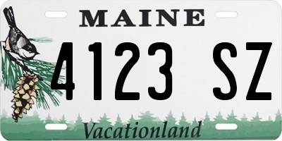 ME license plate 4123SZ