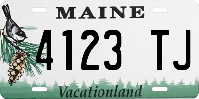 ME license plate 4123TJ