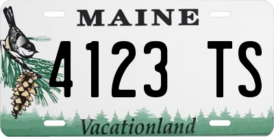 ME license plate 4123TS