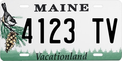 ME license plate 4123TV