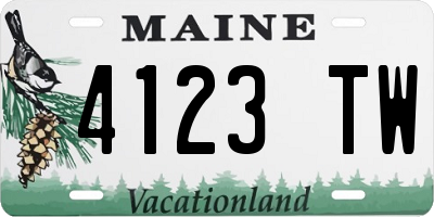 ME license plate 4123TW