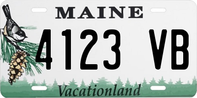 ME license plate 4123VB