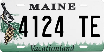 ME license plate 4124TE