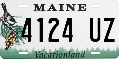 ME license plate 4124UZ
