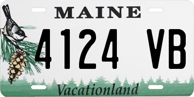 ME license plate 4124VB