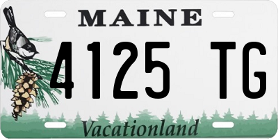 ME license plate 4125TG