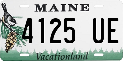 ME license plate 4125UE