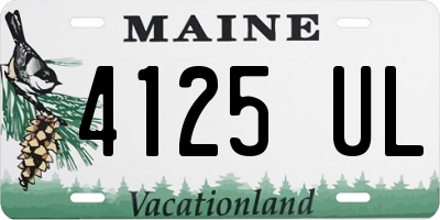 ME license plate 4125UL