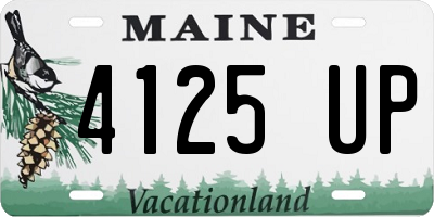 ME license plate 4125UP