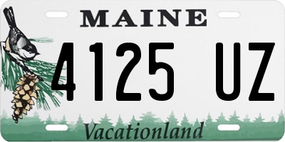 ME license plate 4125UZ