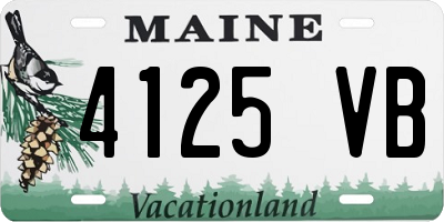 ME license plate 4125VB