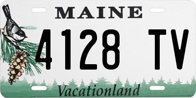 ME license plate 4128TV