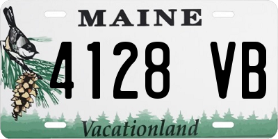 ME license plate 4128VB