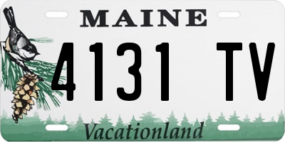ME license plate 4131TV