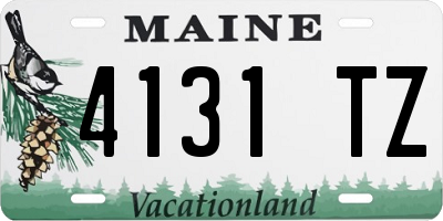 ME license plate 4131TZ