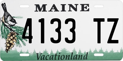 ME license plate 4133TZ