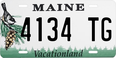 ME license plate 4134TG