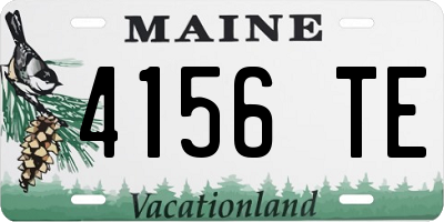 ME license plate 4156TE