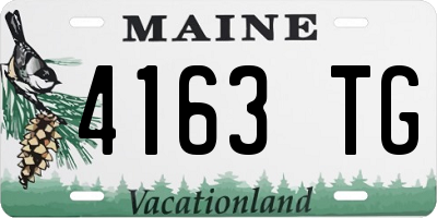 ME license plate 4163TG