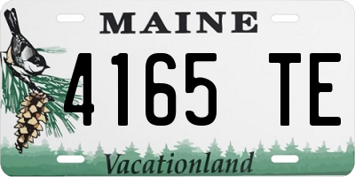 ME license plate 4165TE