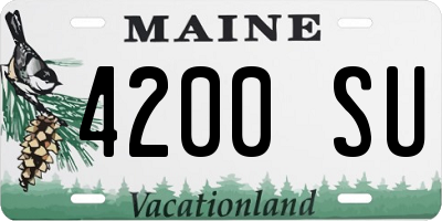 ME license plate 4200SU