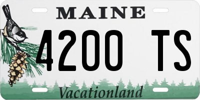ME license plate 4200TS
