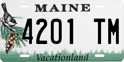 ME license plate 4201TM