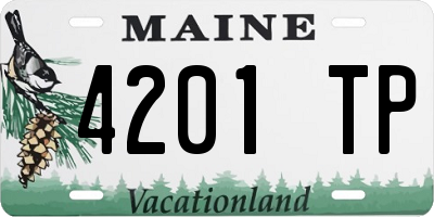 ME license plate 4201TP