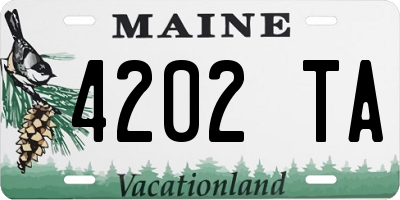 ME license plate 4202TA