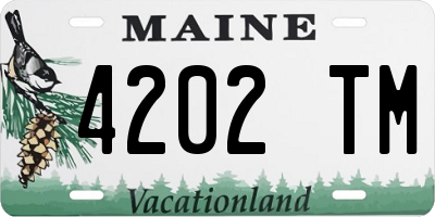 ME license plate 4202TM