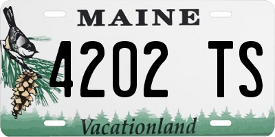 ME license plate 4202TS