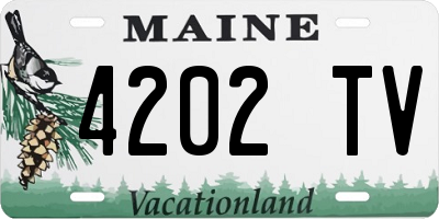 ME license plate 4202TV