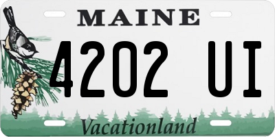 ME license plate 4202UI