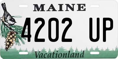 ME license plate 4202UP