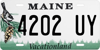 ME license plate 4202UY