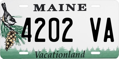 ME license plate 4202VA