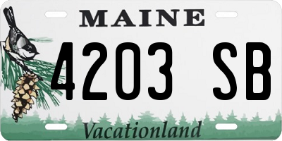 ME license plate 4203SB