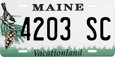 ME license plate 4203SC
