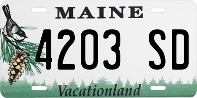 ME license plate 4203SD