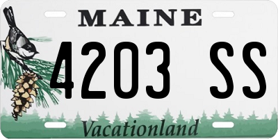 ME license plate 4203SS