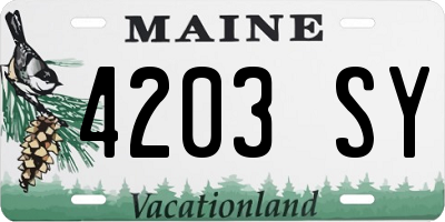 ME license plate 4203SY