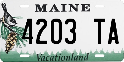 ME license plate 4203TA