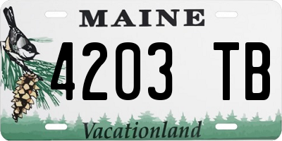 ME license plate 4203TB