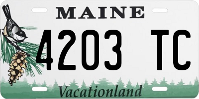 ME license plate 4203TC