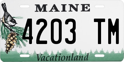 ME license plate 4203TM