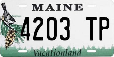 ME license plate 4203TP