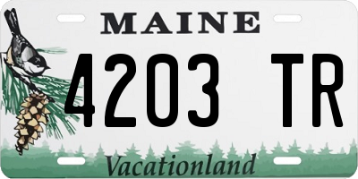 ME license plate 4203TR