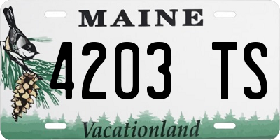 ME license plate 4203TS